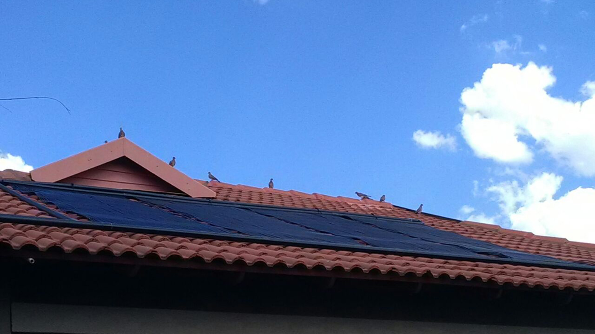 Swimming Pool Covers Pretoria New Jacuzzi’s New Pools Pool Covers Spa